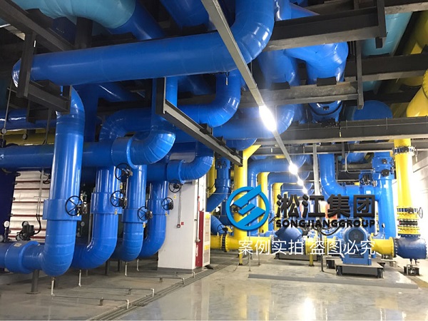 合肥京東方泵房橡膠接頭案例解析